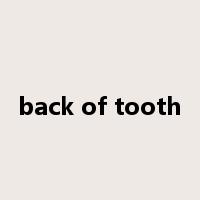 back of tooth是什么意思