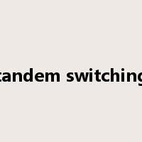 tandem switching是什么意思