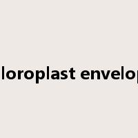 chloroplast envelope是什么意思