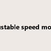 adjustable speed motors是什么意思