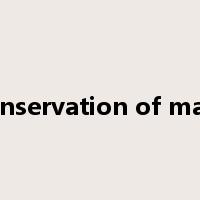conservation of mass是什么意思