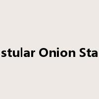 Fistular Onion Stalk是什么意思