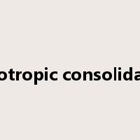 anisotropic consolidation是什么意思