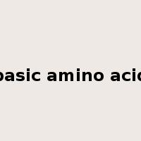 basic amino acid是什么意思