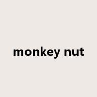 monkey nut是什么意思