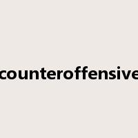 counteroffensive是什么意思