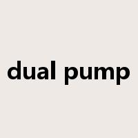 dual pump是什么意思