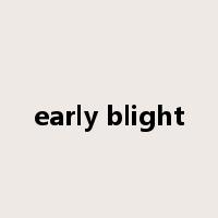early blight是什么意思