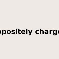 oppositely charged是什么意思