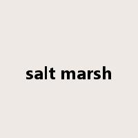 salt marsh是什么意思