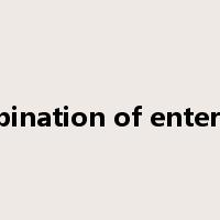combination of enterprise是什么意思