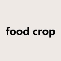 food crop是什么意思