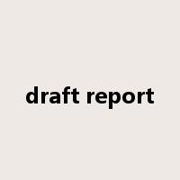 draft report是什么意思