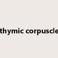 thymic corpuscle是什么意思