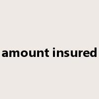amount insured是什么意思