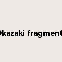 Okazaki fragments是什么意思