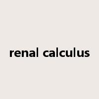 renal calculus是什么意思