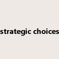 strategic choices是什么意思