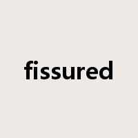 fissured是什么意思