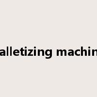 palletizing machine是什么意思