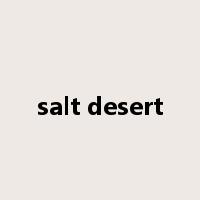 salt desert是什么意思