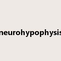 neurohypophysis是什么意思