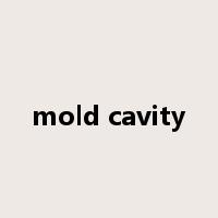 mold cavity是什么意思
