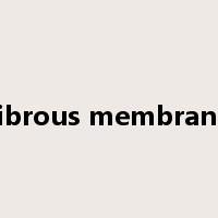 fibrous membrane是什么意思