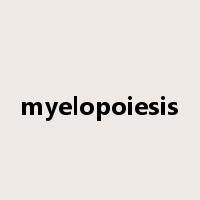 myelopoiesis是什么意思