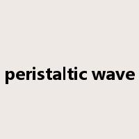 peristaltic wave是什么意思