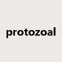 protozoal是什么意思