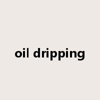 oil dripping是什么意思