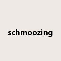 schmoozing是什么意思