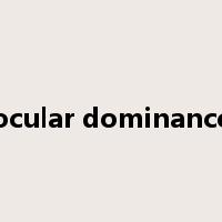 ocular dominance是什么意思