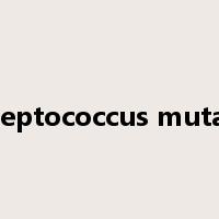 Streptococcus mutans是什么意思