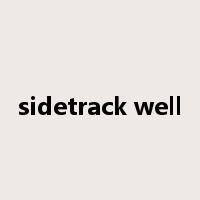 sidetrack well是什么意思