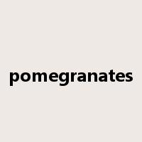 pomegranates是什么意思