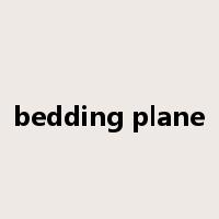bedding plane是什么意思