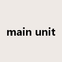 main unit是什么意思