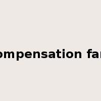 compensation fare是什么意思