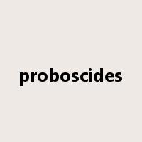 proboscides是什么意思