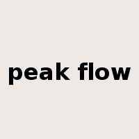 peak flow是什么意思