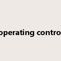 operating control是什么意思