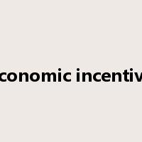 economic incentive是什么意思