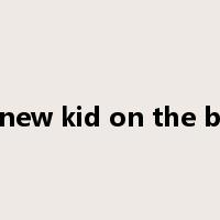 the new kid on the block是什么意思