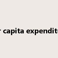 per capita expenditure是什么意思