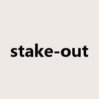 stake-out是什么意思