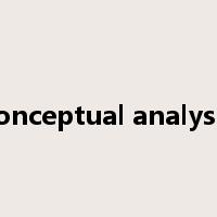 conceptual analysis是什么意思