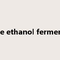 acetone ethanol fermentation是什么意思