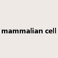 mammalian cell是什么意思